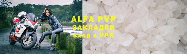 шишки Верхний Тагил